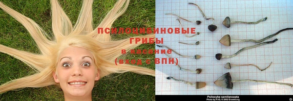 бутират Аркадак