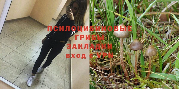 mdpv Арсеньев