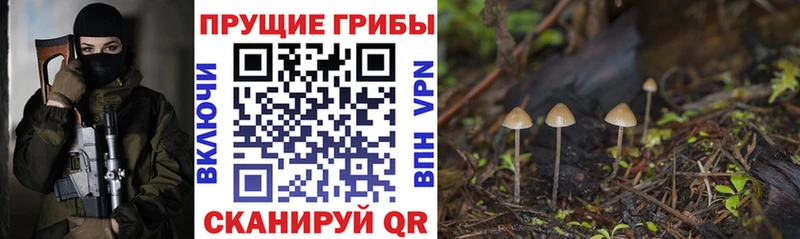 Купить закладки  Волгоград  Галлюциногенные грибы Magic Shrooms 