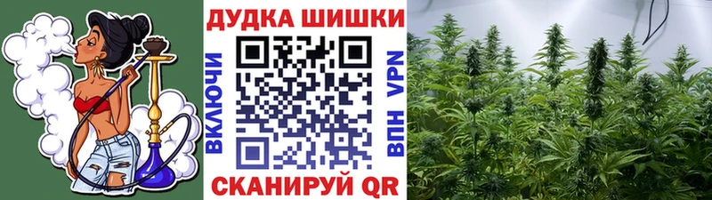 Бошки марихуана AK-47  Купить  Волгоград 